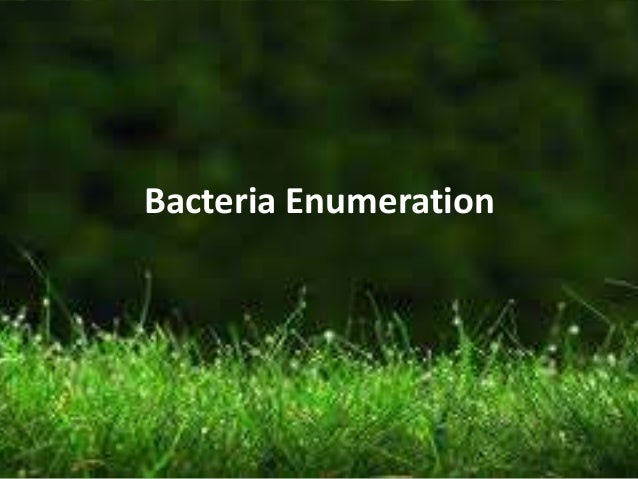 Bacteria Enumeration