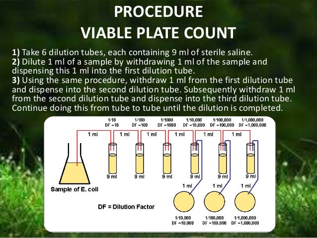 Bacteria enumeration
