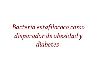 Bacteria estafilococo como
disparador de obesidad y
diabetes
 