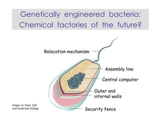 Genetically  engineered  bacteria: Chemical  factories  of  the  future? Image: G. Karp,  Cell and molecular biology Relocation mechanism   Assembly line Central computer Security fence Outer and internal walls 