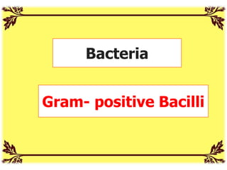 Bacteria
Gram- positive Bacilli
 