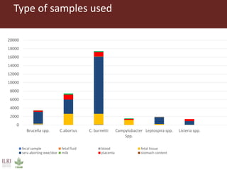 Bacterial causes of small ruminant abortion: A systematic review and meta-analysis
