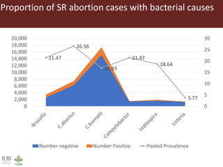 Bacterial causes of small ruminant abortion: A systematic review and meta-analysis
