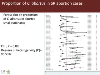 Bacterial causes of small ruminant abortion: A systematic review and meta-analysis