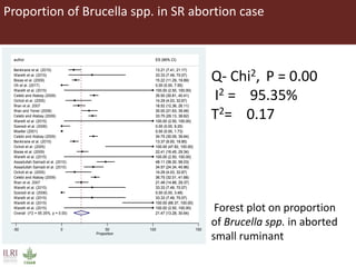 Bacterial causes of small ruminant abortion: A systematic review and meta-analysis