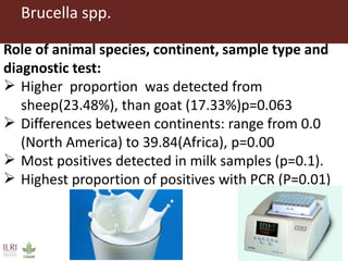 Bacterial causes of small ruminant abortion: A systematic review and meta-analysis