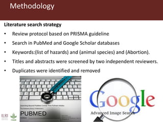 Bacterial causes of small ruminant abortion: A systematic review and meta-analysis