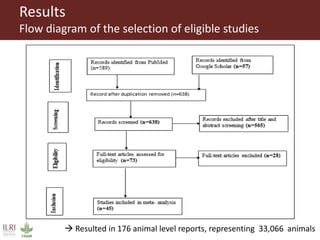 Bacterial causes of small ruminant abortion: A systematic review and meta-analysis