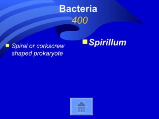Bacteria
                       400

                          s Spirillum
s   Spiral or corkscrew
    shaped prokaryote
 
