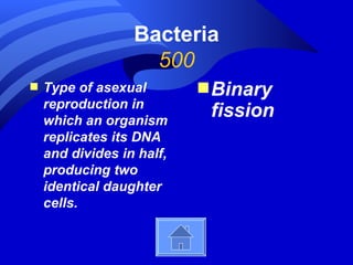 Bacteria
                    500
s   Type of asexual        s Binary
    reproduction in
    which an organism
                            fission
    replicates its DNA
    and divides in half,
    producing two
    identical daughter
    cells.
 