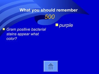 What you should remember
                          500
                                s purple
s   Gram positive bacterial
    stains appear what
    color?
 