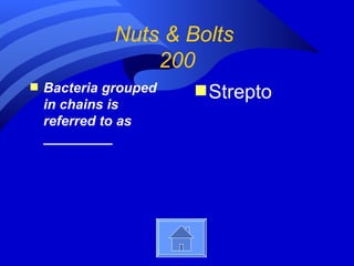Nuts & Bolts
                  200
s   Bacteria grouped   s Strepto
    in chains is
    referred to as
    _________
 
