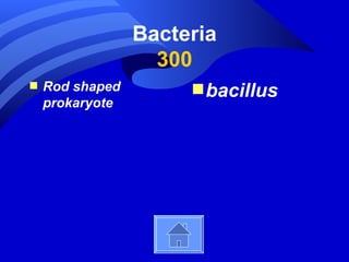 Bacteria
                   300
s   Rod shaped        s bacillus
    prokaryote
 