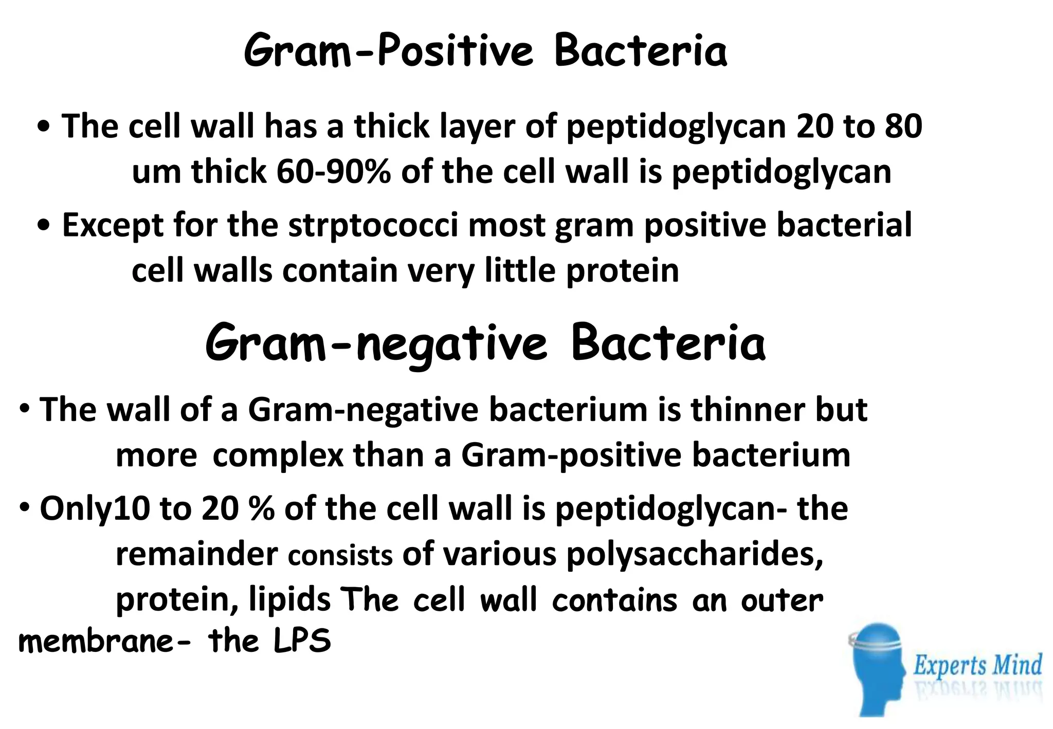 Gram-Positive Bacteria
 • The cell wall has a thick layer of peptidoglycan 20 to 80
       um thick 60-90% of the cell wall is peptidoglycan
 • Except for the strptococci most gram positive bacterial
       cell walls contain very little protein

            Gram-negative Bacteria
• The wall of a Gram-negative bacterium is thinner but
      more complex than a Gram-positive bacterium
• Only10 to 20 % of the cell wall is peptidoglycan- the
      remainder consists of various polysaccharides,
      protein, lipids The cell wall contains an outer
membrane- the LPS
 