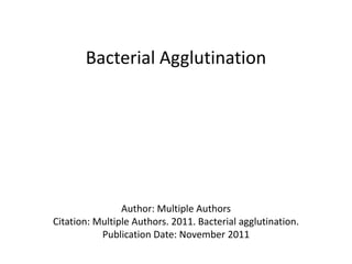 Bacterial Agglutination
Author: Multiple Authors
Citation: Multiple Authors. 2011. Bacterial agglutination.
Publication Date: November 2011
 