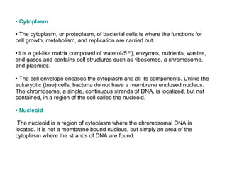 •  Cytoplasm The cytoplasm, or protoplasm, of bacterial cells is where the functions for cell growth, metabolism, and replication are carried out.  It is a gel-like matrix composed of water(4/5  th ), enzymes, nutrients, wastes, and gases and contains cell structures such as ribosomes, a chromosome, and plasmids. •  The cell envelope encases the cytoplasm and all its components. Unlike the eukaryotic (true) cells, bacteria do not have a membrane enclosed nucleus. The chromosome, a single, continuous strands of DNA, is localized, but not contained, in a region of the cell called the nucleoid. •  Nucleoid The nucleoid is a region of cytoplasm where the chromosomal DNA is located. It is not a membrane bound nucleus, but simply an area of the cytoplasm where the strands of DNA are found. 