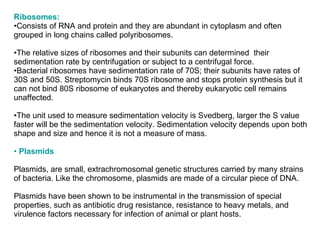 Ribosomes: Consists of RNA and protein and they are abundant in cytoplasm and often grouped in long chains called polyribosomes.  The relative sizes of ribosomes and their subunits can determined  their sedimentation rate by centrifugation or subject to a centrifugal force. Bacterial ribosomes have sedimentation rate of 70S; their subunits have rates of 30S and 50S. Streptomycin binds 70S ribosome and stops protein synthesis but it can not bind 80S ribosome of eukaryotes and thereby eukaryotic cell remains unaffected.  The unit used to measure sedimentation velocity is Svedberg, larger the S value faster will be the sedimentation velocity. Sedimentation velocity depends upon both shape and size and hence it is not a measure of mass. •  Plasmids Plasmids, are small, extrachromosomal genetic structures carried by many strains of bacteria. Like the chromosome, plasmids are made of a circular piece of DNA. Plasmids have been shown to be instrumental in the transmission of special properties, such as antibiotic drug resistance, resistance to heavy metals, and virulence factors necessary for infection of animal or plant hosts. 
