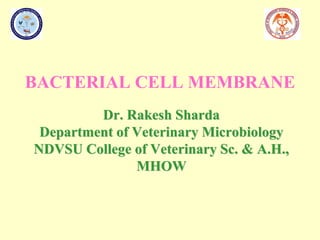 BACTERIAL CELL MEMBRANE
Dr. Rakesh Sharda
Department of Veterinary Microbiology
NDVSU College of Veterinary Sc. & A.H.,
MHOW
 