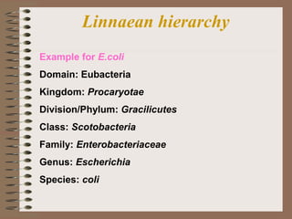 Linnaean hierarchy
Example for E.coli
Domain: Eubacteria
Kingdom: Procaryotae
Division/Phylum: Gracilicutes
Class: Scotobacteria
Family: Enterobacteriaceae
Genus: Escherichia
Species: coli
 