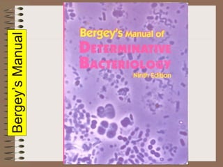 Bergey’s
Manual
 