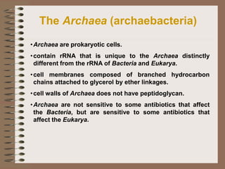 The Bacteria (eubacteria)
• Bacteria are prokaryotic cells.
• contain rRNA that is unique to the Bacteria distinctly
diffe...