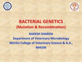 BACTERIAL GENETICS
(Mutation & Recombination)
RAKESH SHARDA
Department of Veterinary Microbiology
NDVSU College of Veterinary Science & A.H.,
MHOW
 