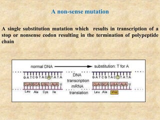 A non-sense mutation
A single substitution mutation which results in transcription of a
stop or nonsense codon resulting in the termination of polypeptide
chain
 