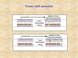 Frame shift mutation
 