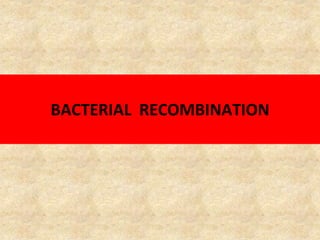 BACTERIAL RECOMBINATION
 