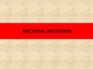 BACTERIAL MUTATION
 