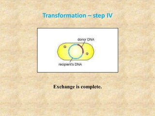 Transformation – step IV
Exchange is complete.
 