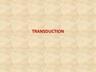 TRANSDUCTION
 