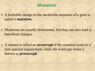Mutation
• A heritable change in the nucleotide sequence of a gene is
called a mutation.
• Mutations are usually detrimental, but they can also lead to
beneficial changes.
• A mutant is called an auxotroph if the mutation leads to a
new nutrient requirement, while the wild type strain is
known as prototroph.
 