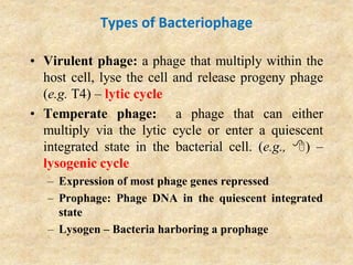 Types of Bacteriophage
• Virulent phage: a phage that multiply within the
host cell, lyse the cell and release progeny phage
(e.g. T4) – lytic cycle
• Temperate phage: a phage that can either
multiply via the lytic cycle or enter a quiescent
integrated state in the bacterial cell. (e.g., ) –
lysogenic cycle
– Expression of most phage genes repressed
– Prophage: Phage DNA in the quiescent integrated
state
– Lysogen – Bacteria harboring a prophage
 