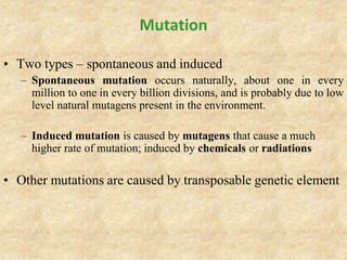 Mutation
• Two types – spontaneous and induced
– Spontaneous mutation occurs naturally, about one in every
million to one in every billion divisions, and is probably due to low
level natural mutagens present in the environment.
– Induced mutation is caused by mutagens that cause a much
higher rate of mutation; induced by chemicals or radiations
• Other mutations are caused by transposable genetic element
 