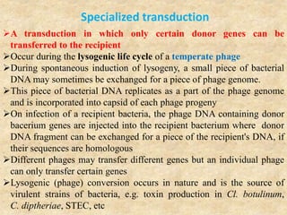Specialized transduction
A transduction in which only certain donor genes can be
transferred to the recipient
Occur during the lysogenic life cycle of a temperate phage
During spontaneous induction of lysogeny, a small piece of bacterial
DNA may sometimes be exchanged for a piece of phage genome.
This piece of bacterial DNA replicates as a part of the phage genome
and is incorporated into capsid of each phage progeny
On infection of a recipient bacteria, the phage DNA containing donor
bacerium genes are injected into the recipient bacterium where donor
DNA fragment can be exchanged for a piece of the recipient's DNA, if
their sequences are homologous
Different phages may transfer different genes but an individual phage
can only transfer certain genes
Lysogenic (phage) conversion occurs in nature and is the source of
virulent strains of bacteria, e.g. toxin production in Cl. botulinum,
C. diptheriae, STEC, etc
 