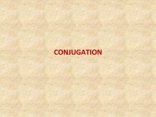 CONJUGATION
 