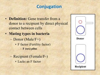 Conjugation
• Definition: Gene transfer from a
donor to a recipient by direct physical
contact between cells
• Mating types in bacteria
– Donor (Male/F+)
• F factor (Fertility factor)
– F (sex) pilus
Donor
Recipient
– Recipient (Female/F-)
• Lacks an F factor
 