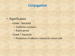 Conjugation
• Significance
– Gram - bacteria
• Antibiotic resistance
• Rapid spread
– Gram + bacteria
• Production of adhesive material by donor cells
 