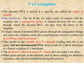 F+ x F- conjugation
The plasmid DNA is nicked at a specific site called the origin of
transfer.
Pair formation - The tip of the sex pilus comes in contact with the
recipient and a conjugation bridge is formed between the two cells,
through which the plasmid DNA will pass from the donor to the
recipient
A single strand of plasmid DNA passes through the conjugation bridge
and enters the recipient where the complimentary strand is synthesized
by a rolling circle mechanism
This results in the transfer of a F+ plasmid (coding only for a sex
pilus), but not chromosomal DNA, from a male (F+) donor bacterium
to a female recipient (F-) bacterium.
The recipient F- then becomes a F+ (male) and can make a sex pilus.
Other genes present on the plasmid, such as those coding for antibiotic
resistance, may also be transferred during this process.
 