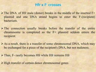 The DNA of Hfr male (donor) breaks in the middle of the inserted F+
plasmid and one DNA strand begins to enter the F-(recipient)
bacterium.
The connection usually breaks before the transfer of the entire
chromosome is completed so the F+ plasmid seldom enters the
recipient.
As a result, there is a transfer of some chromosomal DNA, which may
be exchanged for a piece of the recipient's DNA, but not maleness.
Thus, F- rarely becomes Hfr while Hfr remains Hfr
High transfer of certain donor chromosomal genes
Hfr x F- crosses
 