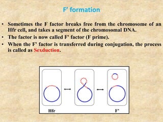 F’ formation
• Sometimes the F factor breaks free from the chromosome of an
Hfr cell, and takes a segment of the chromosomal DNA.
• The factor is now called F' factor (F prime).
• When the F' factor is transferred during conjugation, the process
is called as Sexduction.
Hfr F’
 