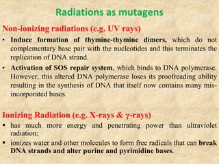 Radiations as mutagens
Non-ionizing radiations (e.g. UV rays)
• Induce formation of thymine-thymine dimers, which do not
complementary base pair with the nucleotides and this terminates the
replication of DNA strand.
• Activation of SOS repair system, which binds to DNA polymerase.
However, this altered DNA polymerase loses its proofreading ability
resulting in the synthesis of DNA that itself now contains many mis-
incorporated bases.
Ionizing Radiation (e.g. X-rays & γ-rays)
 has much more energy and penetrating power than ultraviolet
radiation;
 ionizes water and other molecules to form free radicals that can break
DNA strands and alter purine and pyrimidine bases.
 