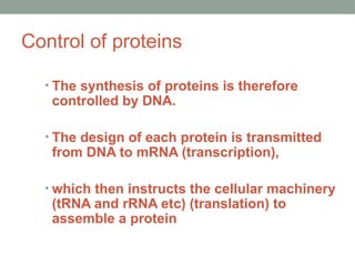 Control of proteins
• The synthesis of proteins is therefore
controlled by DNA.
• The design of each protein is transmitted
from DNA to mRNA (transcription),
• which then instructs the cellular machinery
(tRNA and rRNA etc) (translation) to
assemble a protein
 