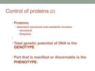 Control of proteins (2)
• Proteins
• determine structural and metabolic function
• structural
• Enzymes
•
• Total genetic potential of DNA is the
GENOTYPE
• Part that is manifest or discernable is the
PHENOTYPE.
 