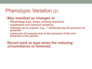 Phenotypic Variation (2)
• May manifest as changes in
• Morphology (size, shape, staining reactions)
• metabolism and chemical reactions,
• induction of an enzyme, e.g., -lactamase by the presence of
penicillin
• repression of enzymes due to the presence of the end
products in the system.
• Revert back to type when the inducing
circumstance is removed.
 