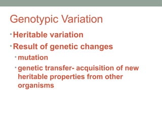 Genotypic Variation
•Heritable variation
•Result of genetic changes
• mutation
• genetic transfer- acquisition of new
heritable properties from other
organisms
 