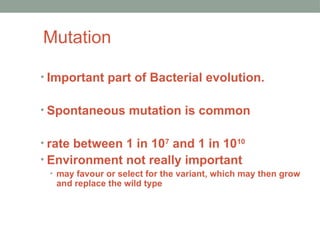 Mutation
• Important part of Bacterial evolution.
• Spontaneous mutation is common
• rate between 1 in 107
and 1 in 1010
• Environment not really important
• may favour or select for the variant, which may then grow
and replace the wild type
 