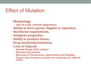 Effect of Mutation
• Morphology
• size of a cell, colonial appearance
• Ability to form spores, flagella or capsules),
• Nutritional requirements,
• Antigenic properties,
• Ability to produce toxins,
• Drug sensitivity/resistance
• Loss of Capsule
• Smooth-Rough (S-R) variation
• Becomes less virulent.
• Best seen in Pneumococci, Salmonellae and Shigellae
• Occurs when bacteria are grown for a long time on artificial
media
 