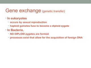 Gene exchange (genetic transfer)
• In eukaryotes
• occurs by sexual reproduction
• haploid gametes fuse to become a diploid zygote
• In Bacteria,
• NO DIPLOID zygotes are formed
• processes exist that allow for the acquisition of foreign DNA
 
